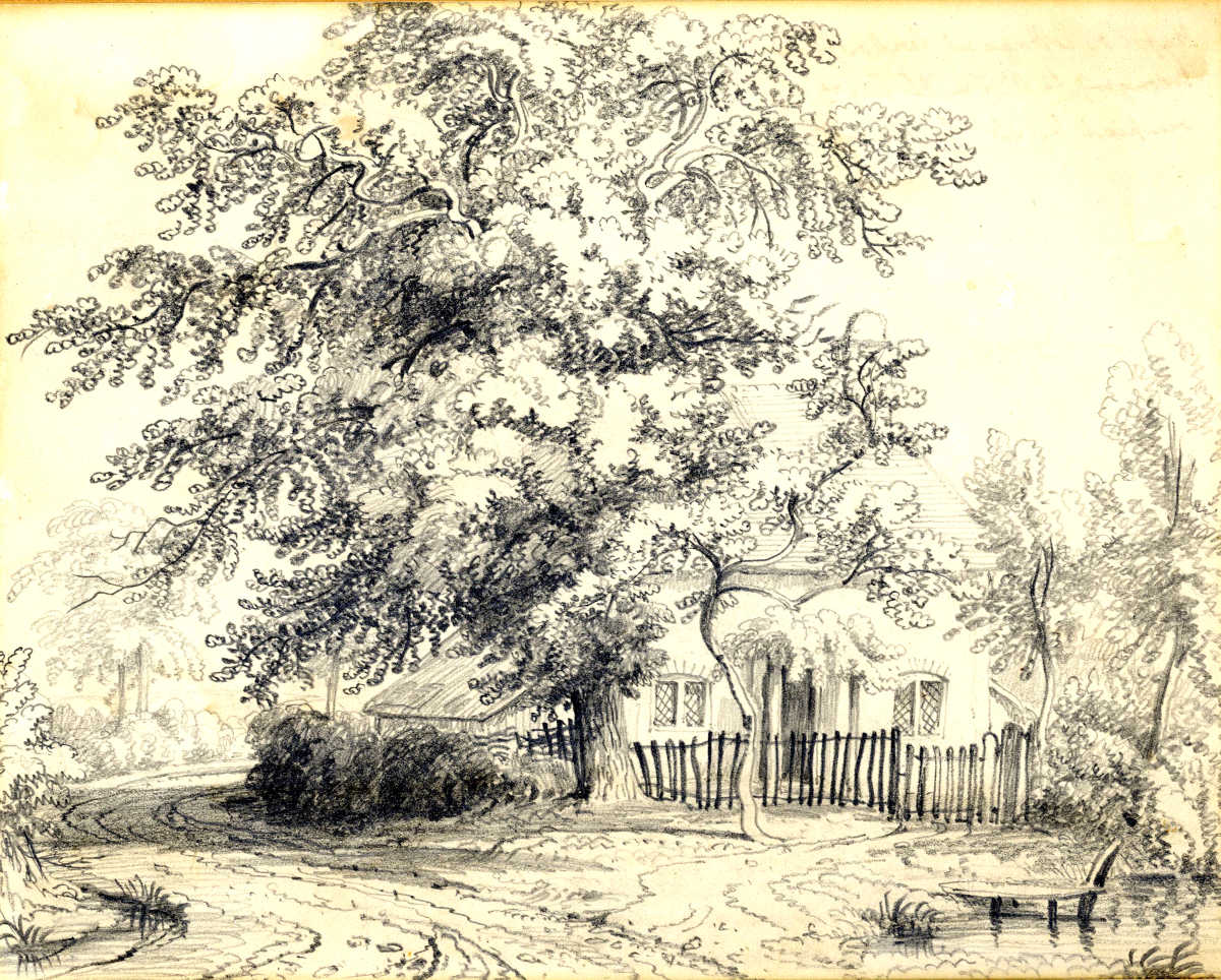 Pencil sketch of a house with a tree in front ref D/EX2937