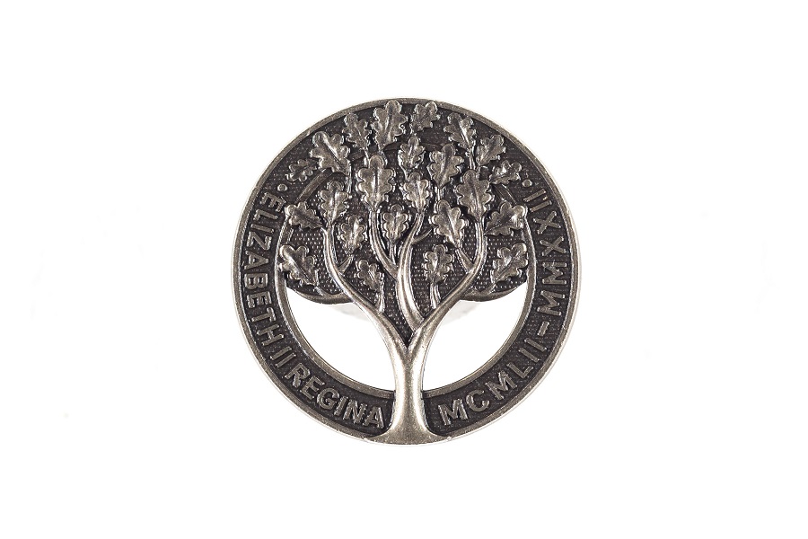 Metal badge showing tree.